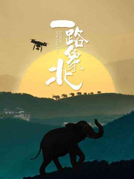 《一路“象”北》最新免费高清电影无广告在线播放|纪录片,短片·中国大陆·2021  第1张