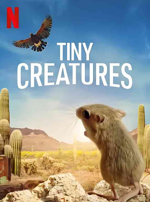 《微观世界》最新免费高清电影无广告在线播放|纪录片·美国·2020  第1张