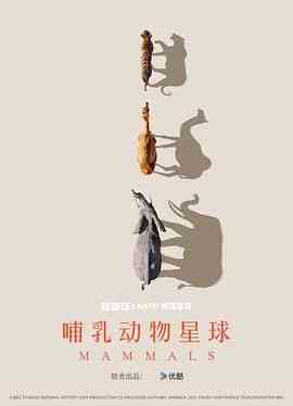 《哺乳动物星球》最新免费高清电影无广告在线播放|纪录片,纪录·英国·2024  第1张