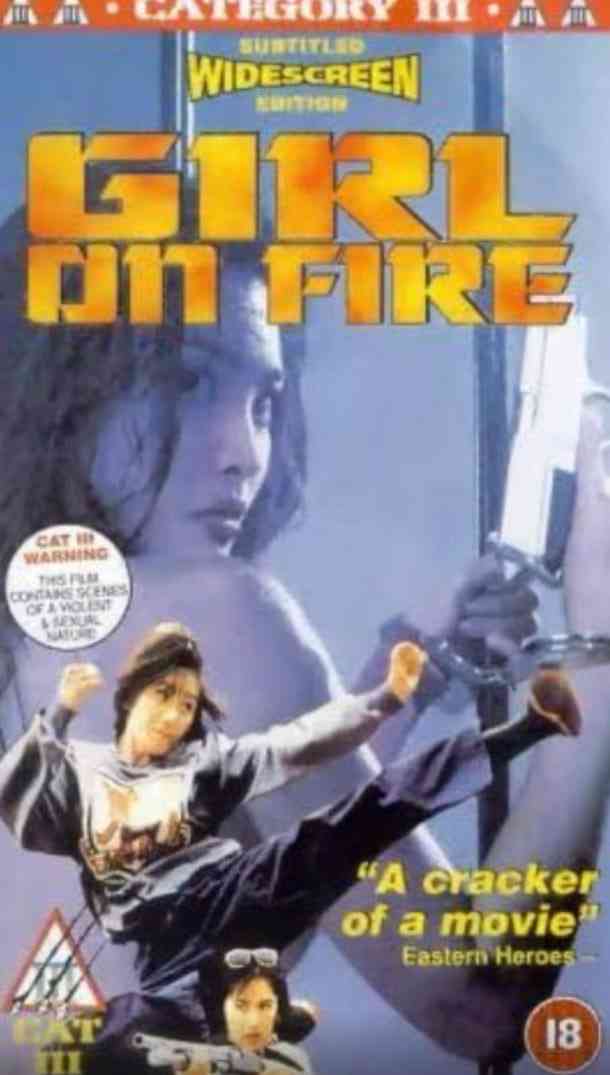 《机密档案之致命诱惑》最新免费高清电影无广告在线播放|行动,惊悚·中国香港·1984  第1张