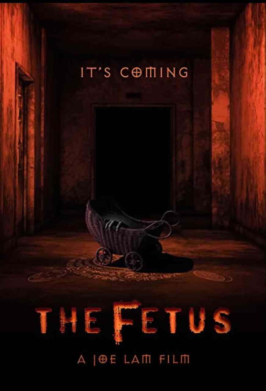 《胎儿》最新免费高清电影无广告在线播放|喜剧,恐怖·美国·2025  第1张