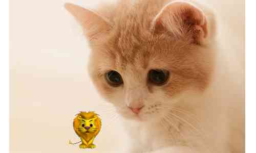 《瑞星小狮子v1.0》软件免费下载|主题美化·1.0  第2张