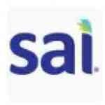 《sai绘图软件1.3.3》软件免费下载|主题美化·1.3.3  第1张