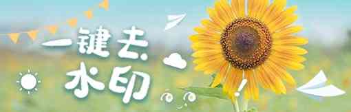 《风云水印管家》最新版》软件免费下载|主题美化·2020.711  第2张