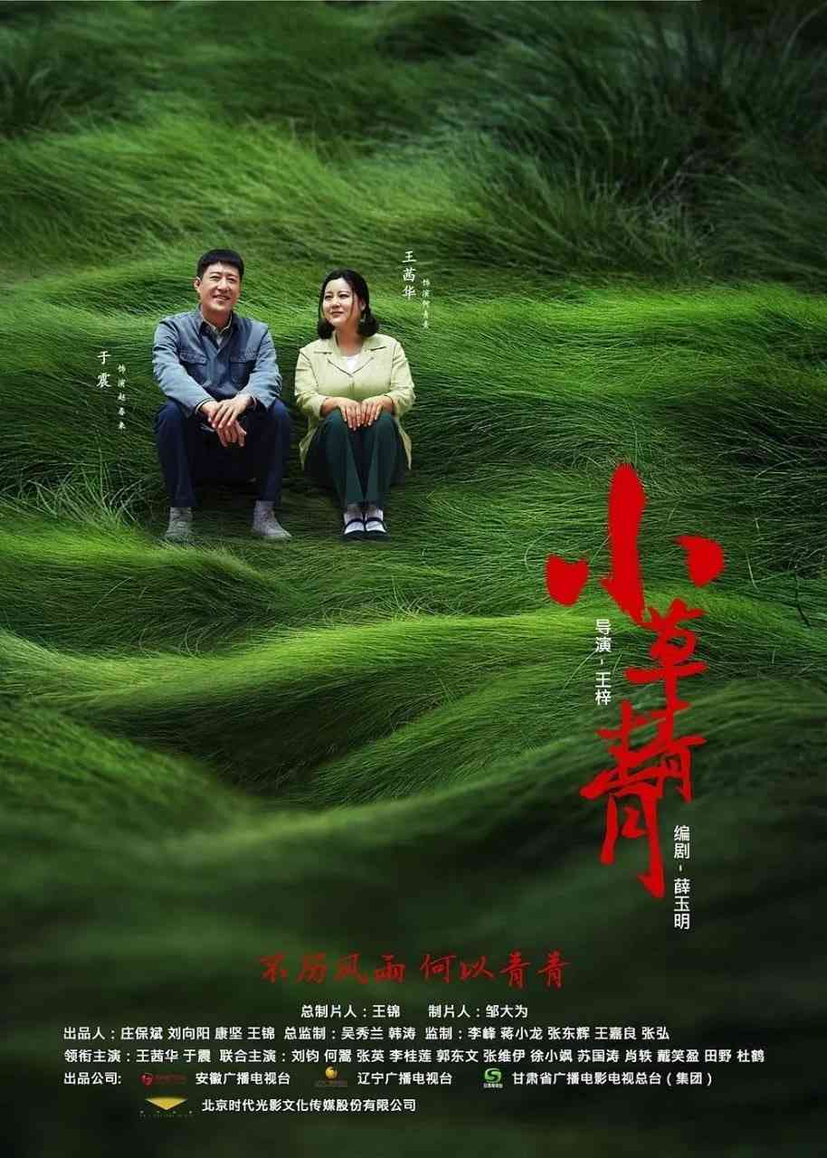 《小草青青》全集免费高清电视剧无广告在线播放|剧情·中国大陆·2016  第1张