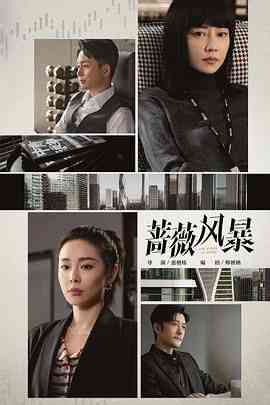 《蔷薇风暴》全集免费高清电视剧无广告在线播放|剧情,内地剧,国产·中国大陆·2024  第1张