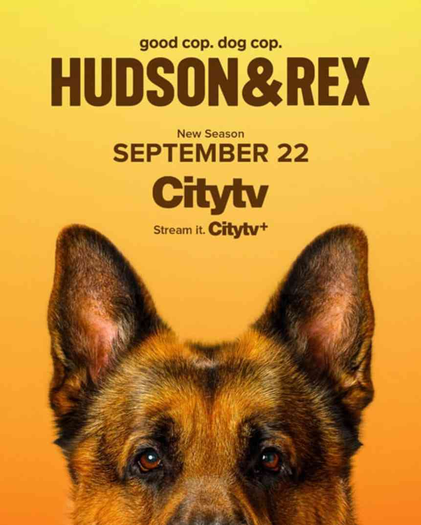 《哈德森与雷克斯 第八季》全集免费高清电视剧无广告在线播放|剧情,悬疑,犯罪·加拿大·2025  第1张