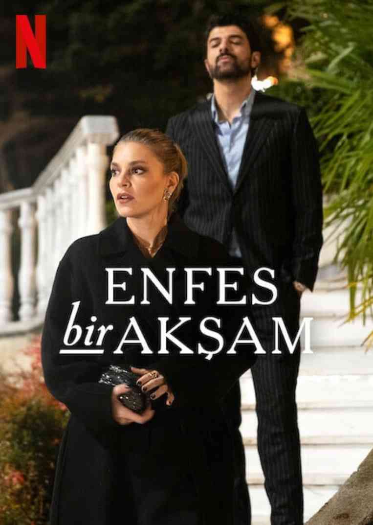 《权欲阶梯》全集免费高清电视剧无广告在线播放|剧情·土耳其·2025  第1张