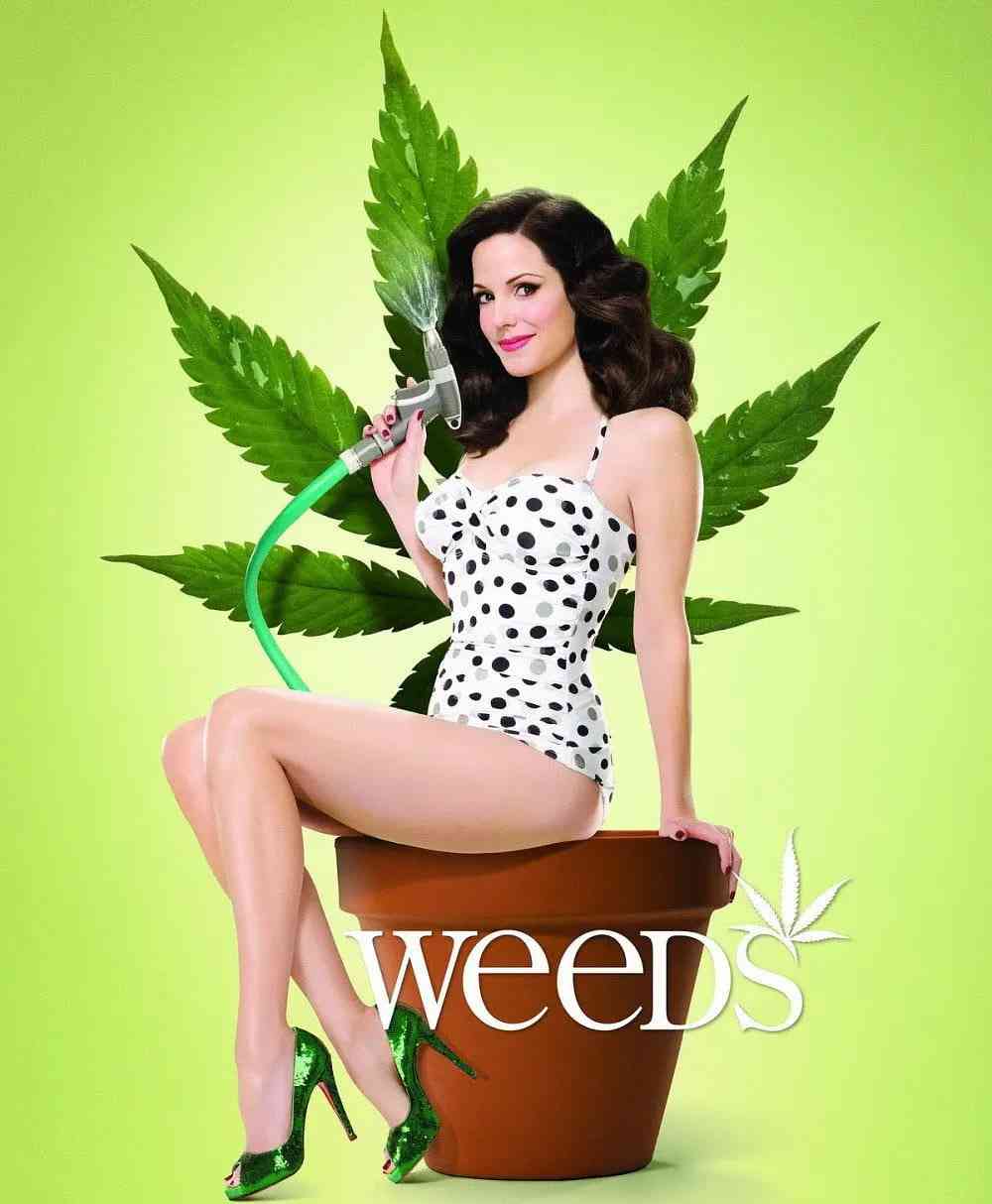 《单身毒妈 第四季》全集免费高清电视剧无广告在线播放|剧情,喜剧,家庭,犯罪·美国·2008  第1张