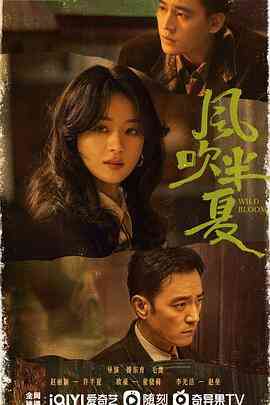 《风吹半夏》全集免费高清电视剧无广告在线播放|剧情,爱情·中国大陆·2022  第1张