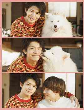 《爱你汪汪》全集免费高清电视剧无广告在线播放|日剧·日本·2023  第1张