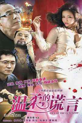 《温柔的谎言》全集免费高清电视剧无广告在线播放|剧情·中国大陆·2010  第1张