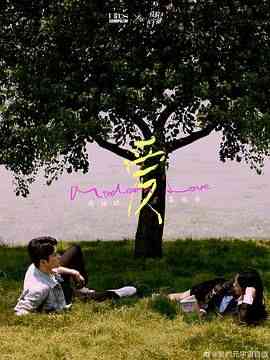 《他们的奇妙时光》全集免费高清电视剧无广告在线播放|剧情,爱情·中国大陆·2024  第1张