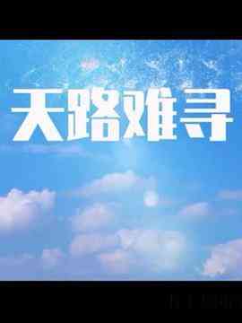 《天路难寻》全集免费高清电视剧无广告在线播放|剧情,悬疑·中国大陆·2017  第1张