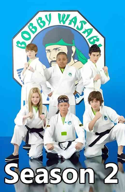 《欢乐道场 第二季》全集免费高清电视剧无广告在线播放|喜剧,动作,家庭·美国·2012  第1张