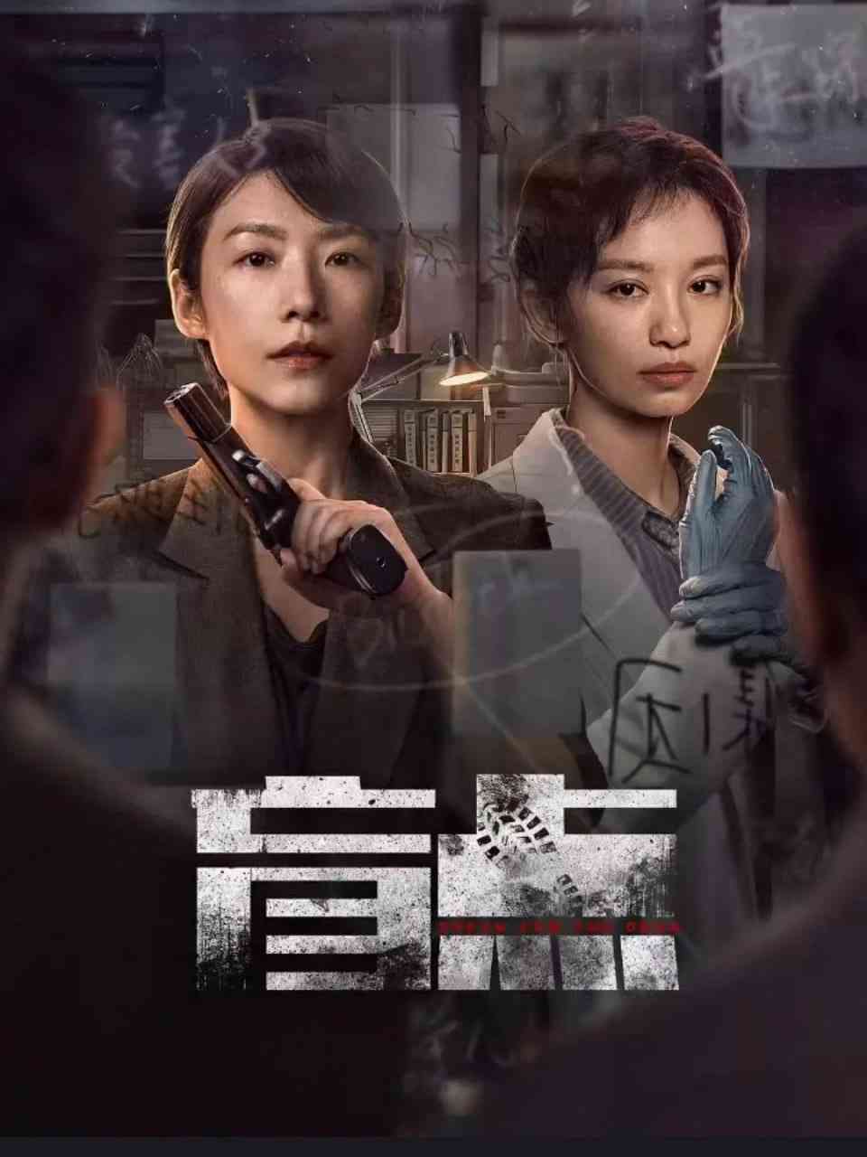 《盲点 2025》全集免费高清电视剧无广告在线播放|剧情,犯罪·中国大陆·2025  第1张