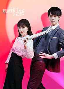 《相亲对象是老板》全集免费高清电视剧无广告在线播放|内地剧·中国大陆·2024  第1张