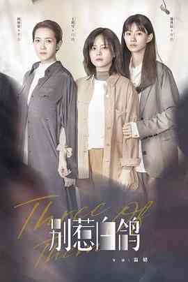 《别惹白鸽》全集免费高清电视剧无广告在线播放|剧情,爱情,悬疑·中国大陆·2021  第1张