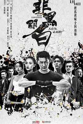 《非黑即白》全集免费高清电视剧无广告在线播放|剧情·中国大陆·2020  第1张