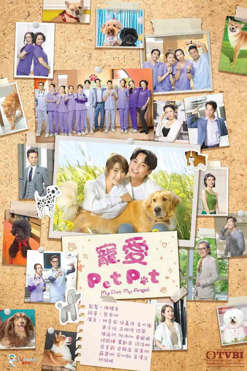 《宠爱Pet Pet》全集免费高清电视剧无广告在线播放|剧情,喜剧,爱情·中国香港·2023  第1张