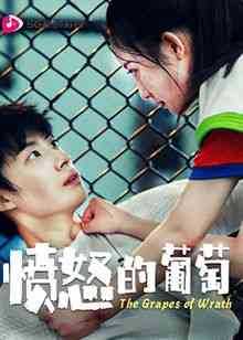 《愤怒的葡萄》全集免费高清电视剧无广告在线播放|内地剧·中国大陆·2024  第1张