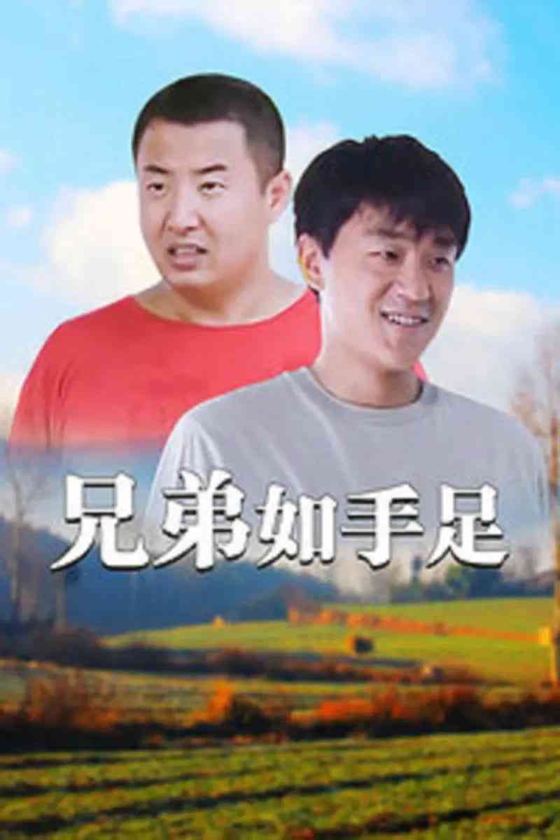 《兄弟如手足》全集免费高清电视剧无广告在线播放|剧情·中国大陆·2008  第1张