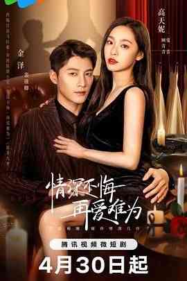 《情深不悔，再爱难为》全集免费高清电视剧无广告在线播放|爱情·中国大陆·2024  第1张