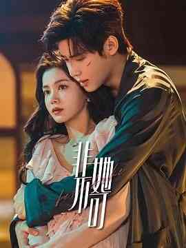 《非她不可》全集免费高清电视剧无广告在线播放|爱情·中国大陆·2024  第1张