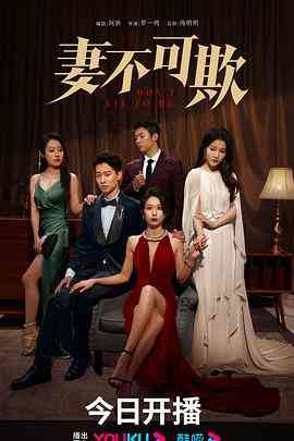 《妻不可欺》全集免费高清电视剧无广告在线播放|剧情,爱情·中国大陆·2024  第1张