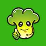 《大白菜U盘启动盘制作工具纯净版》软件免费下载|网络工具·6.0.2311  第1张