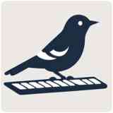 《啄字鸟写作1.1.0》软件免费下载|网络工具·1.1.0  第1张