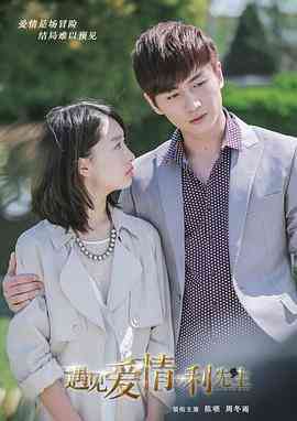 《遇见爱情的利先生》全集免费高清电视剧无广告在线播放|剧情,爱情·中国大陆·2017  第1张