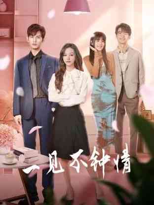 《一见不钟情》全集免费高清电视剧无广告在线播放|剧情,爱情·中国大陆·2024  第1张