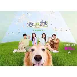 《宠他，还是爱我？》全集免费高清电视剧无广告在线播放|剧情,喜剧,爱情,家庭·新加坡·2024  第1张