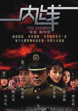 《内线》全集免费高清电视剧无广告在线播放|剧情,悬疑·中国大陆·2009  第1张