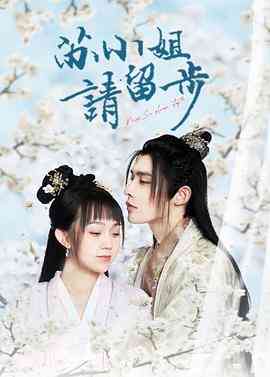 《苏小姐请留步》全集免费高清电视剧无广告在线播放|剧情.喜剧.爱情·中国大陆·2022  第1张