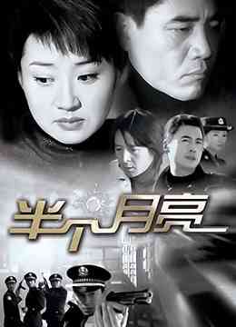 《半个月亮》全集免费高清电视剧无广告在线播放|内地,国产·中国大陆·2004  第1张