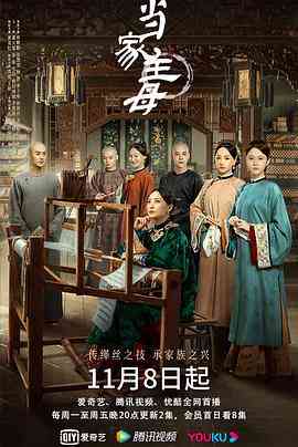 《当家主母》全集免费高清电视剧无广告在线播放|剧情,爱情,古装·中国大陆·2021  第1张