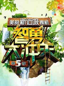 《智勇大冲关 第五季》全集免费高清综艺无广告在线播放|运动,真人秀·中国大陆·2011  第1张