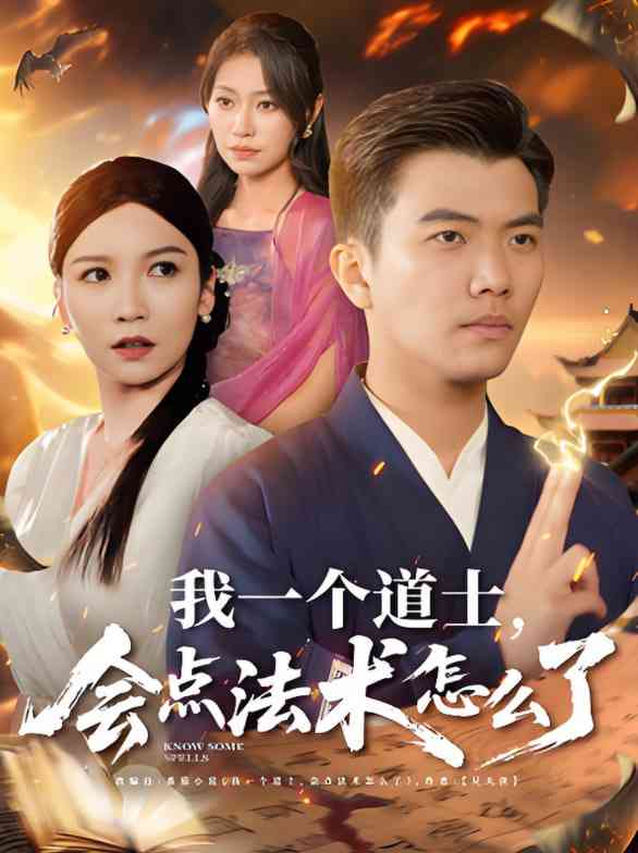 《我一个道士会点法术怎么了》全集免费高清短剧无广告在线播放|短剧·中国大陆·2025  第1张