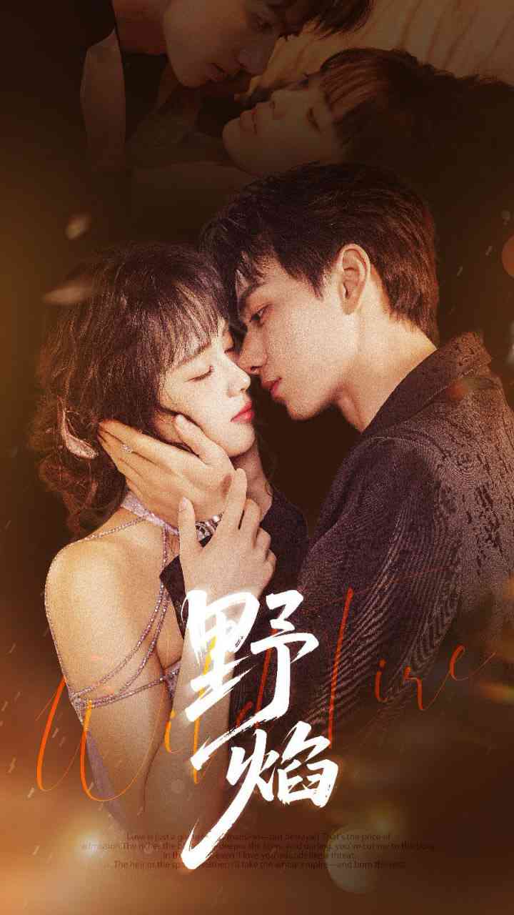 《野焰》全集免费高清短剧无广告在线播放|短剧·中国大陆·2025  第1张