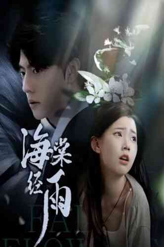 《海棠经雨》全集免费高清短剧无广告在线播放|短剧·中国大陆·2024  第1张