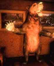 《诡屋》 英文硬盘版》游戏免费下载|冒险游戏·解谜·剧情  第1张