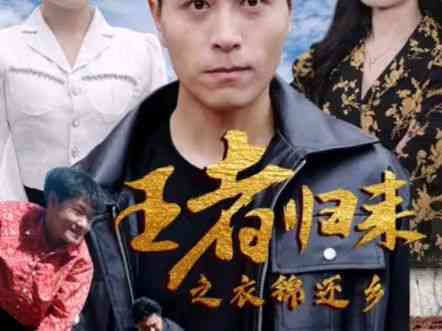 《王者归来之衣锦还乡》全集免费高清短剧无广告在线播放|短剧·中国大陆·2024  第1张