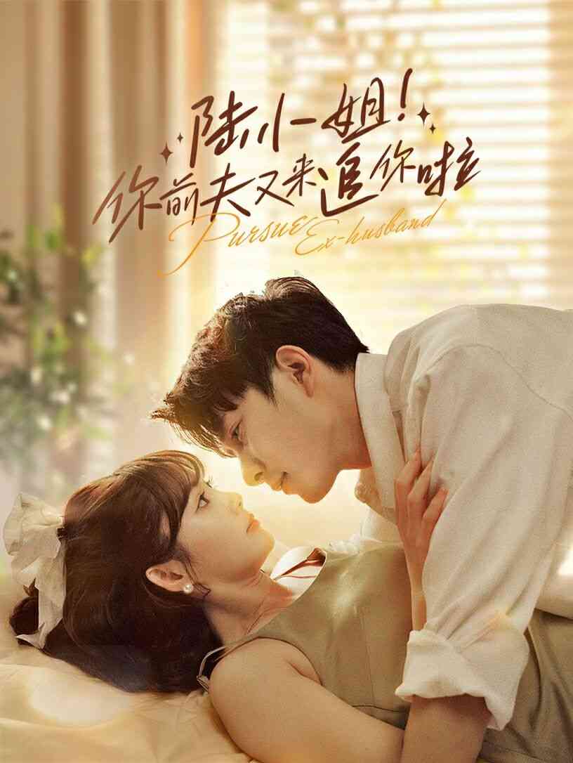 《陆小姐！你前夫又来追你啦》全集免费高清短剧无广告在线播放|短剧·中国大陆·2024  第1张