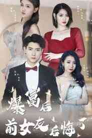 《暴富后前女友后悔了》全集免费高清短剧无广告在线播放|短剧·中国大陆·2024  第1张