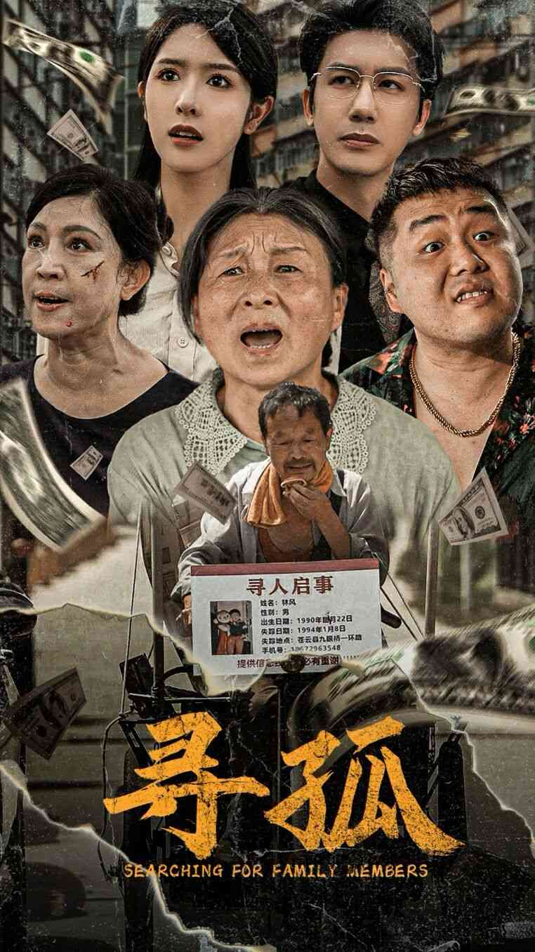 《寻孤》全集免费高清短剧无广告在线播放|短剧·中国大陆·2024  第1张