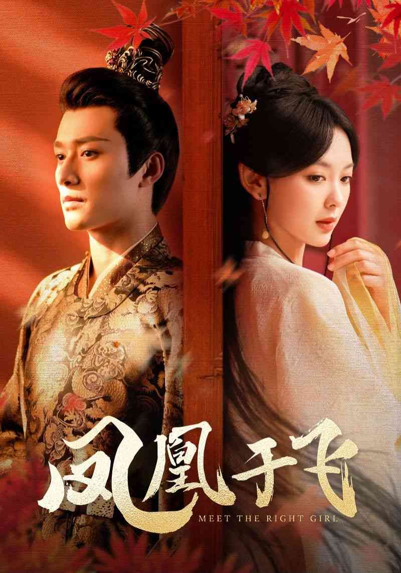 《凤凰于飞》全集免费高清短剧无广告在线播放|短剧·中国大陆·2024  第1张