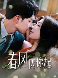 《春风因你起》全集免费高清短剧无广告在线播放|短剧·中国大陆·2024  第1张