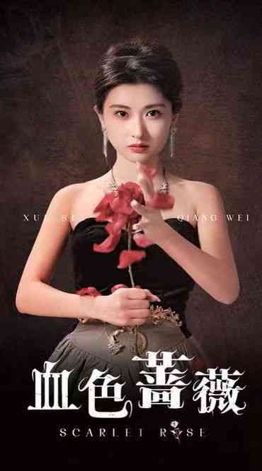 《血色蔷薇》全集免费高清短剧无广告在线播放|短剧·中国大陆·2024  第1张